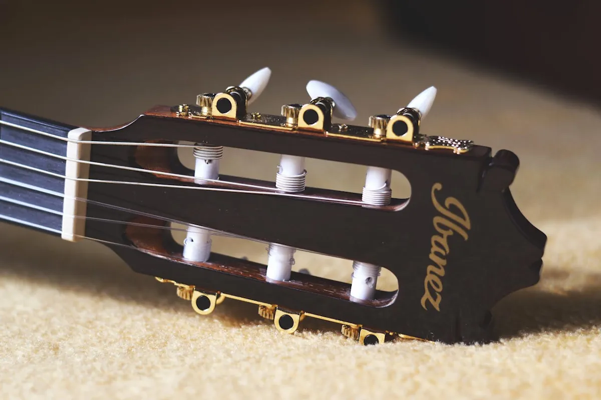 ibanez gitarr