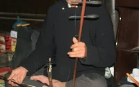 đàn nhị
