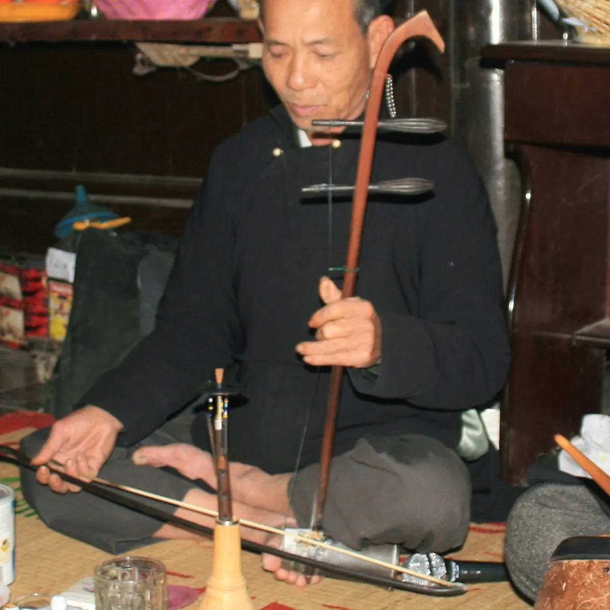 đàn nhị