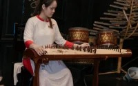 dan tranh
