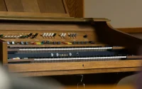 elorgel
