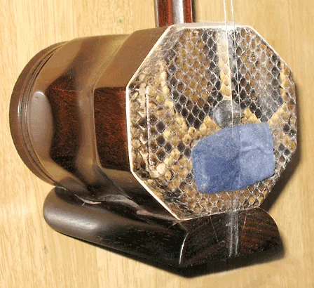 musical instrument erhu
