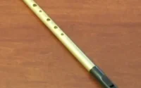 tin whistle