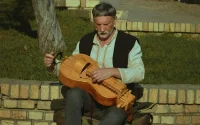 vevlira instrument
